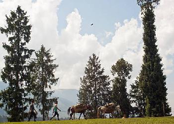Trekking in the Pir Panjal Range_ Kashmirhills.com