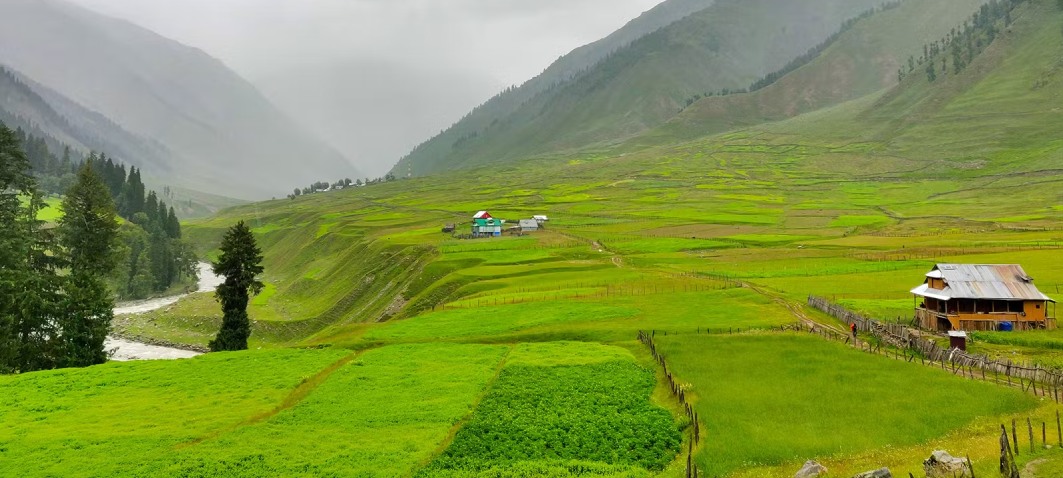 warna vallery kashmirhills.com