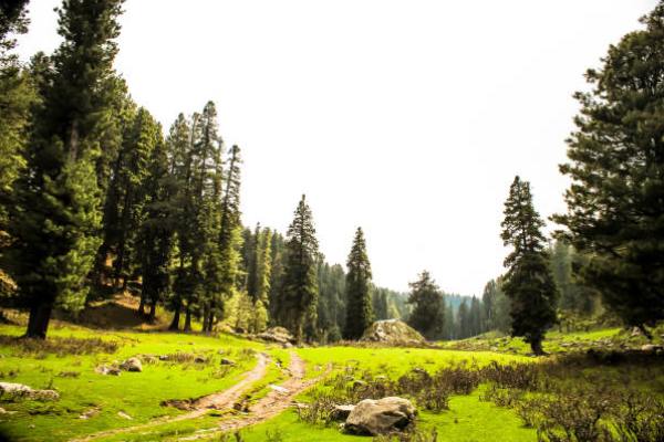 Yusmarg Kashmirhills.com