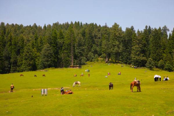 Yusmarg Kashmirhills.com