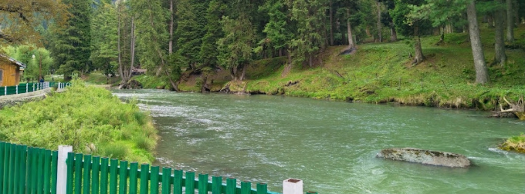 betaab Valley Kashmirhills.com (9)