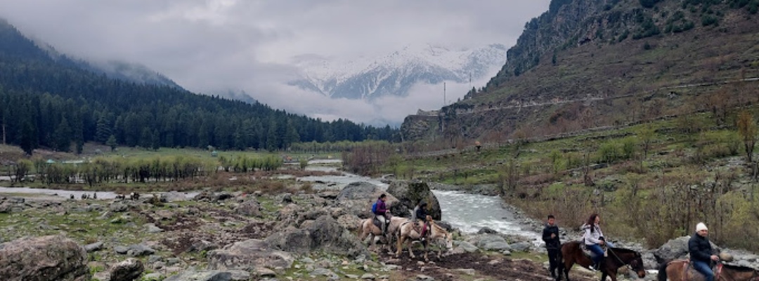 betaab Valley Kashmirhills.com (9)