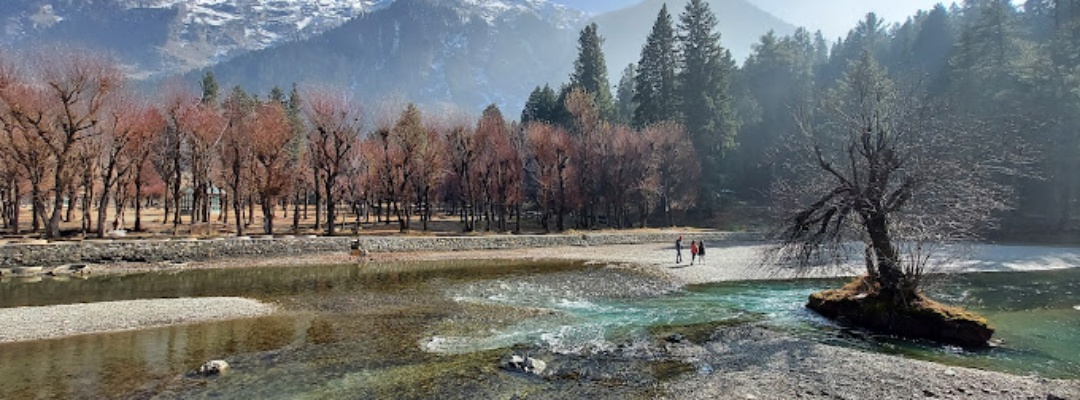 betaab Valley Kashmirhills.com (9)