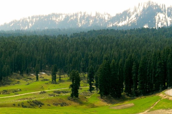 Doodhpathri -Srinagar Kashmirhills.com