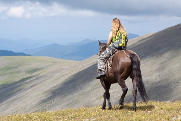 Horse Riding in pahalgam in Kashmirhills.com