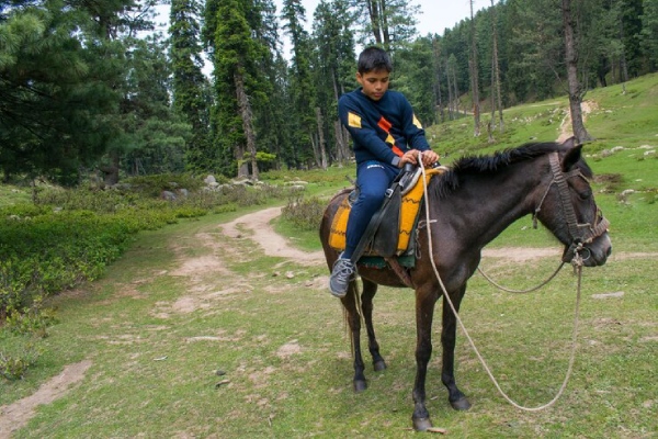 Horse Riding in pahalgam in Kashmirhills.com