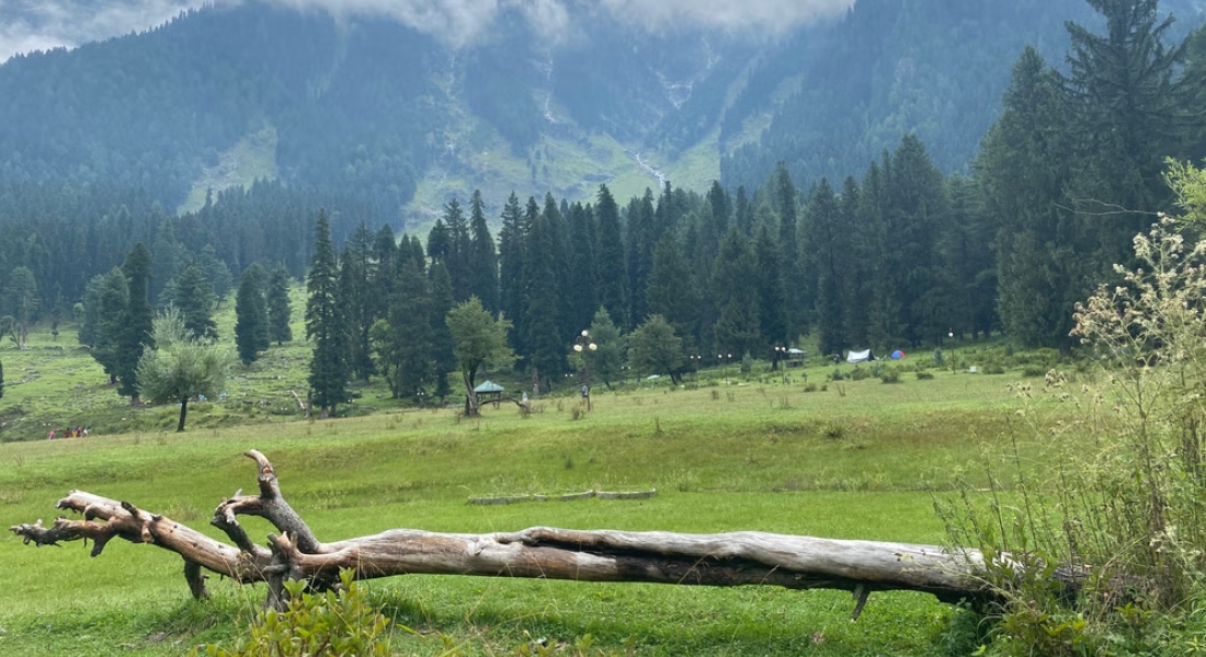 Ningli Nallah – Gulmarg Kashmirhills.com