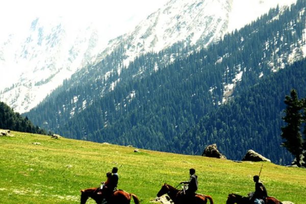 Trekking & Hikking in Pahalgam in Kashmirhills
