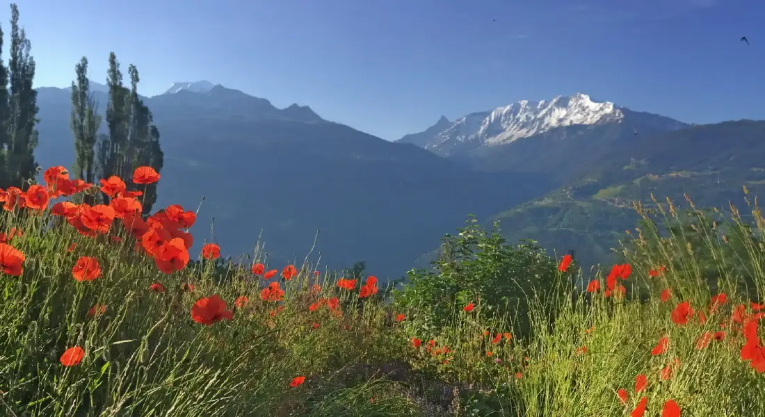 Top Eco-Friendly Destinations to Visit in Kashmirhills.com
