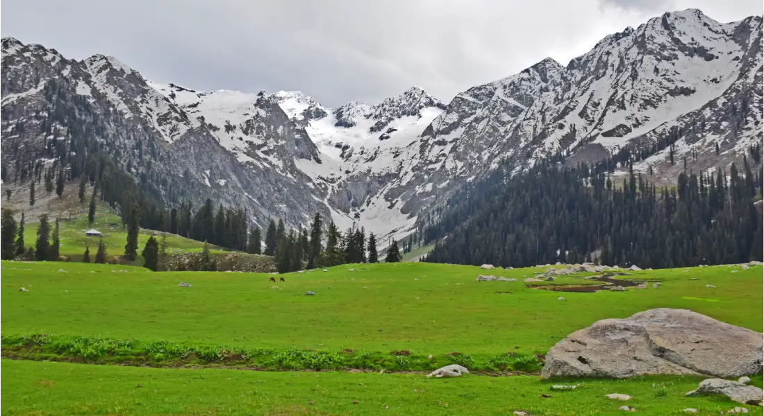 kashmir kashmirhills.com (2) (1)
